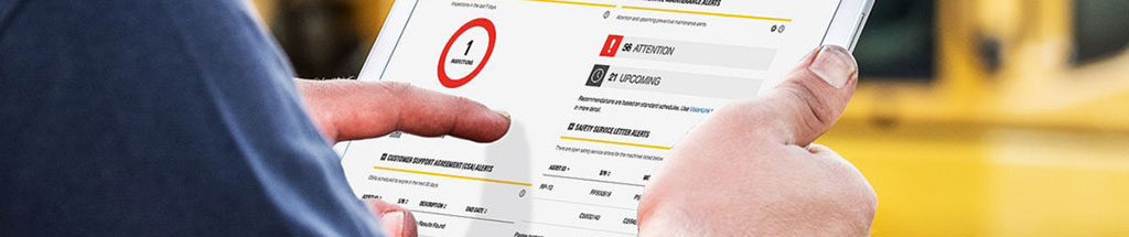 mycatcomheadergraphic_17